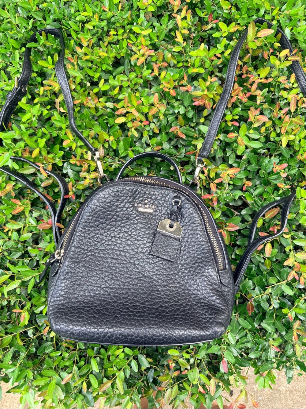 kate spade Black Textured Leather Mini Backpack with Gold Hardware